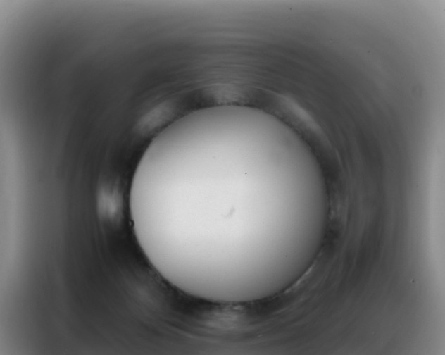 X0000088150124200705211204