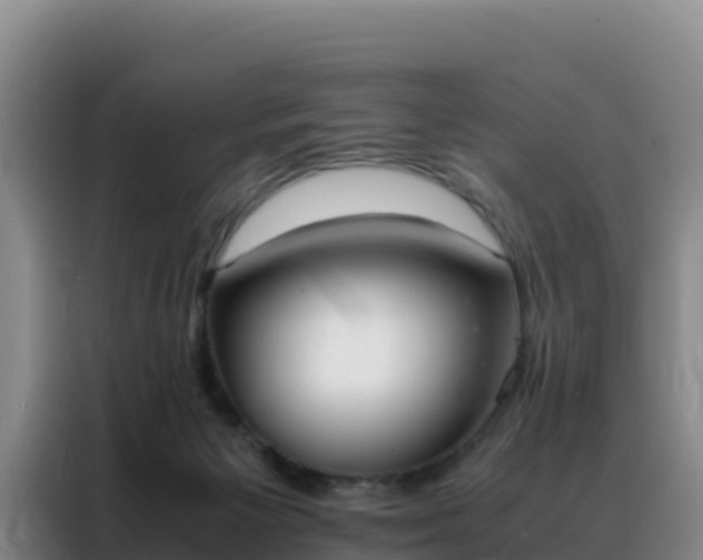 X0000088150125200705211204