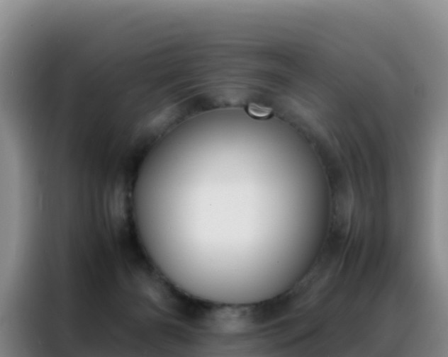 X0000088150126200705211204