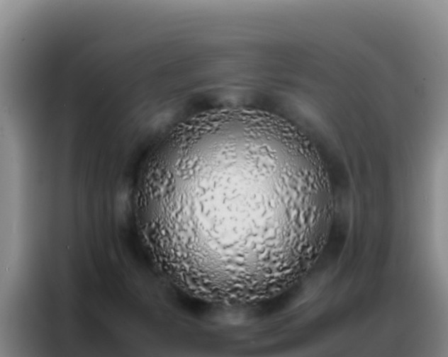 X0000088150127200705211204