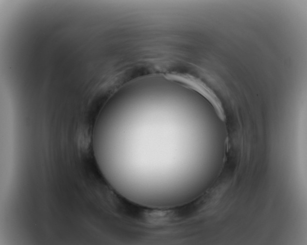 X0000088150129200705211204