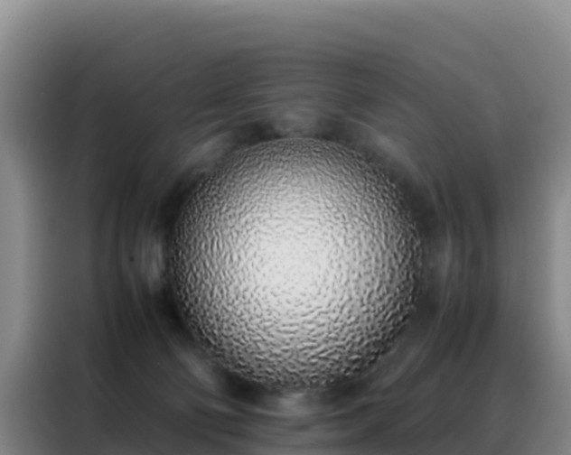 X0000088150130200705211204