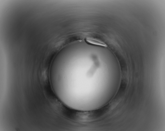 X0000088150131200705211204