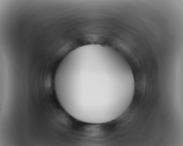 X0000088150132200705211204