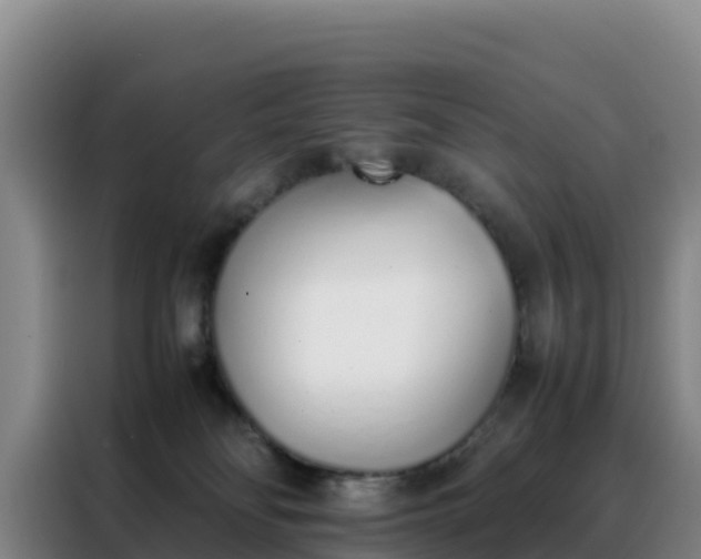 X0000088150134200705211204