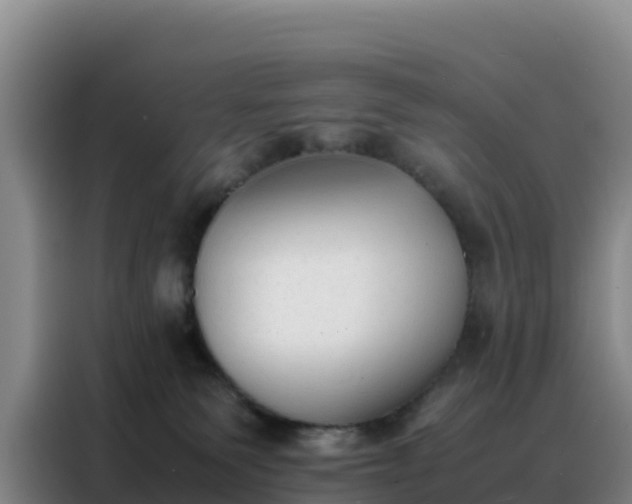 X0000088150135200705211204