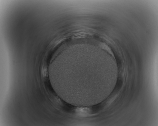 X0000088150137200705211204