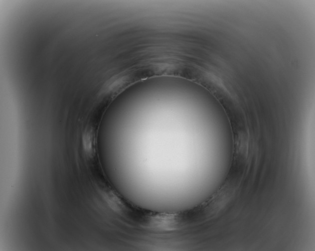 X0000088150138200705211204