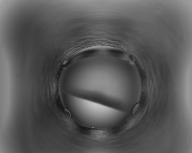 X0000088150139200705211204