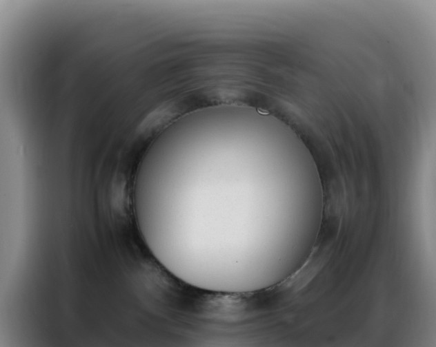 X0000088150140200705211204