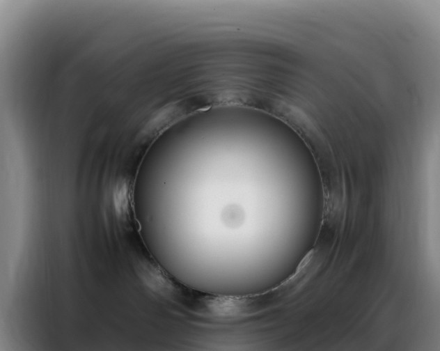 X0000088150142200705211203