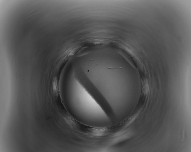 X0000088150143200705211203