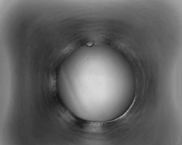 X0000088150144200705211203