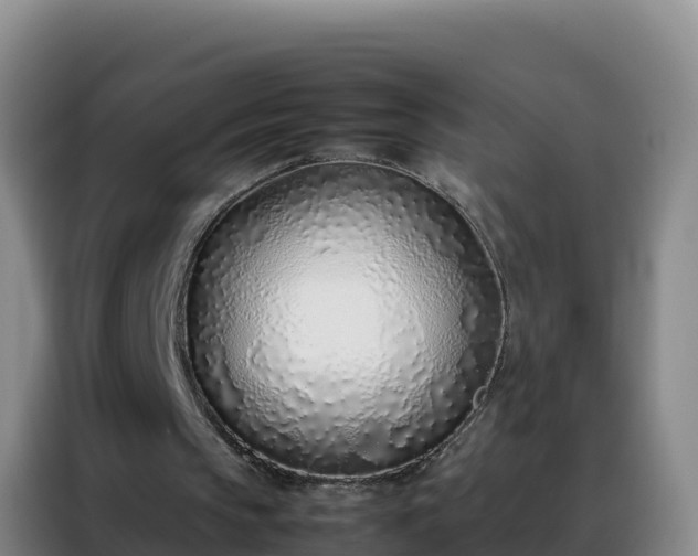 X0000088150145200705211203