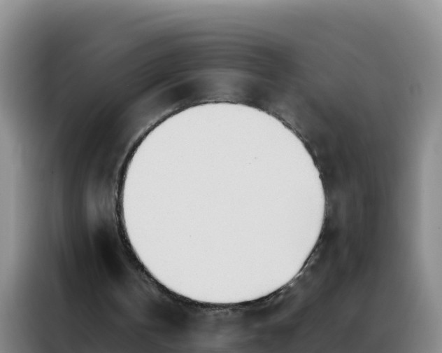 X0000088150146200705211203