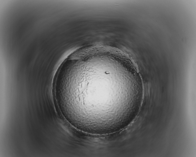 X0000088150147200705211203