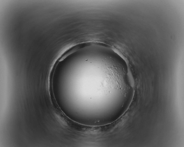 X0000088150148200705211203