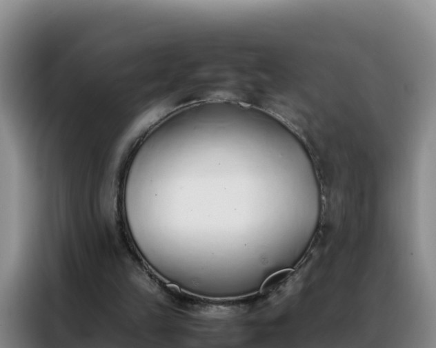 X0000088150149200705211203