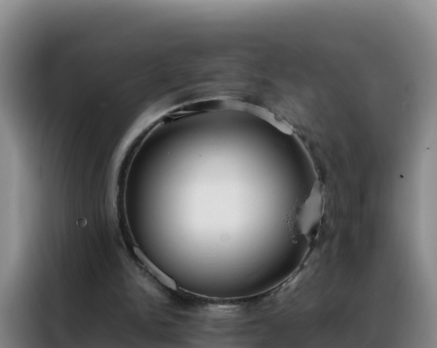 X0000088150150200705211203