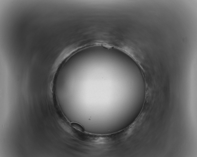 X0000088150151200705211203