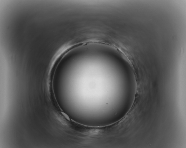 X0000088150152200705211203