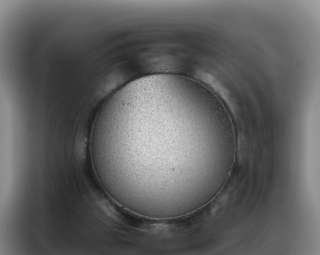 X0000088150153200705211203