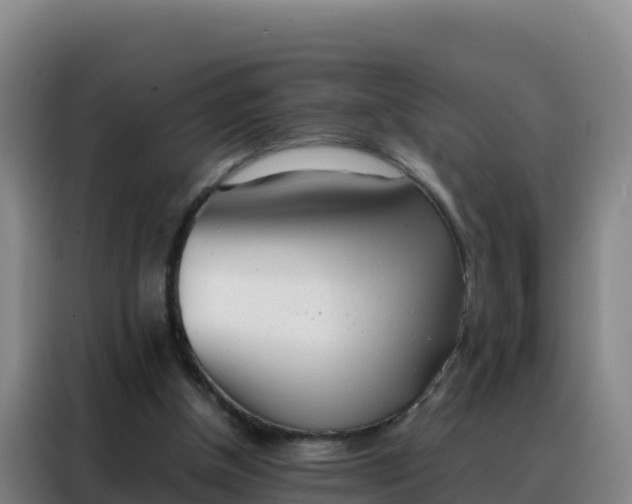 X0000088150154200705211203