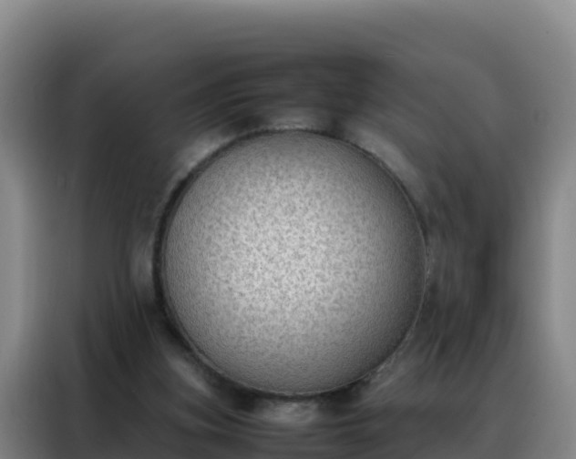 X0000088150155200705211203