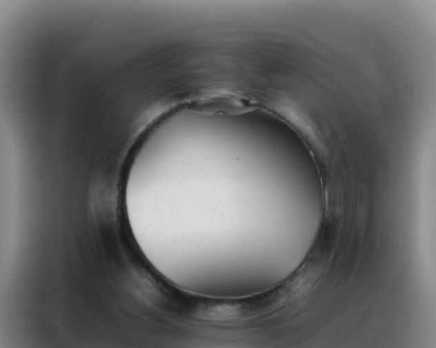 X0000088150156200705211203