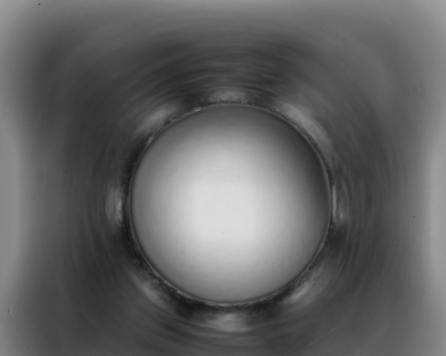 X0000088150157200705211203