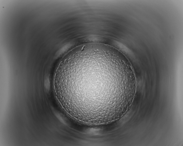 X0000088150158200705211203