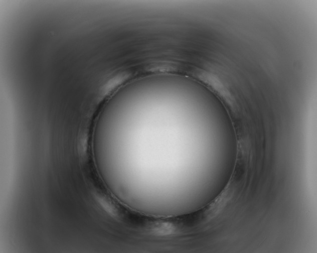 X0000088150159200705211203