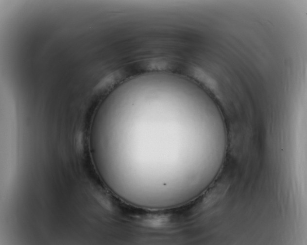 X0000088150161200705211203