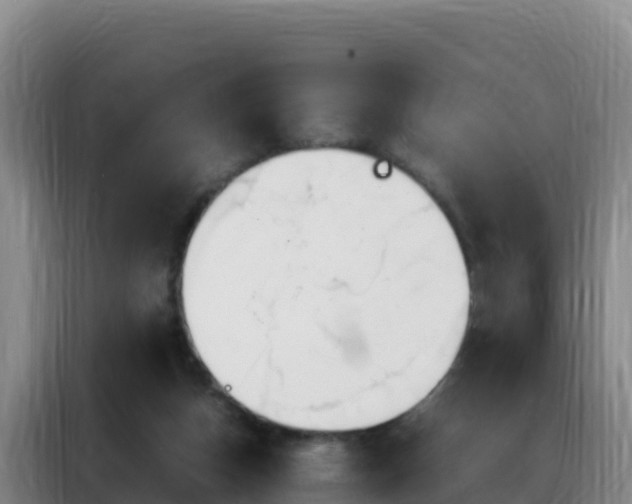 X0000088150162200705211203