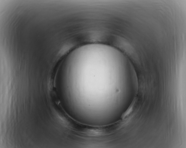 X0000088150164200705211203