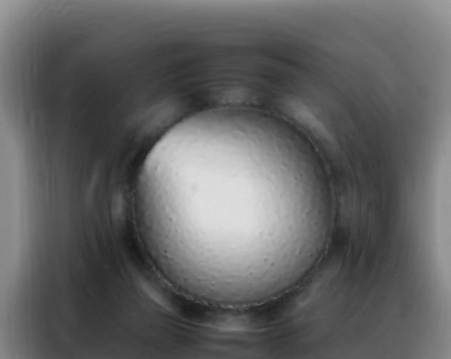 X0000088150165200705211203