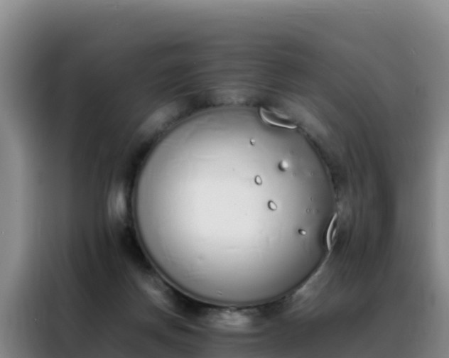 X0000088150166200705211203