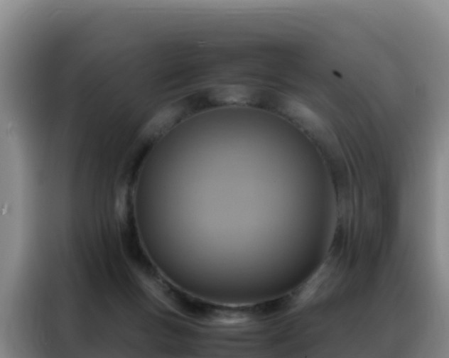 X0000088150167200705211203