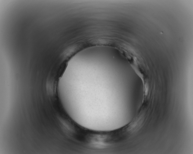 X0000088150168200705211203