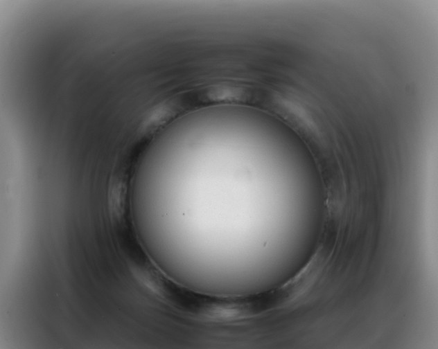 X0000088150171200705211203