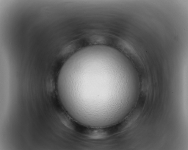 X0000088150173200705211203