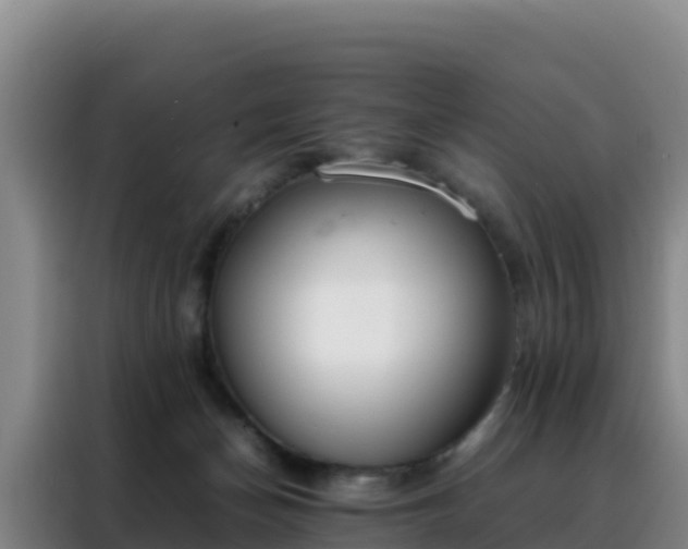 X0000088150174200705211203