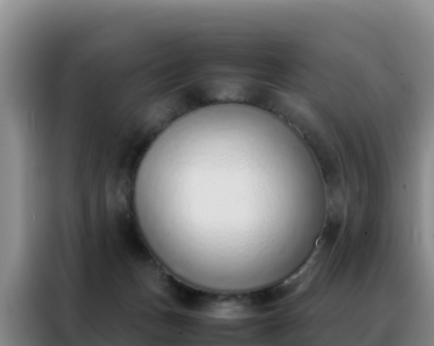 X0000088150175200705211203