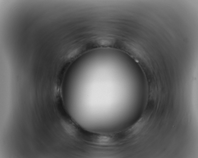 X0000088150176200705211203