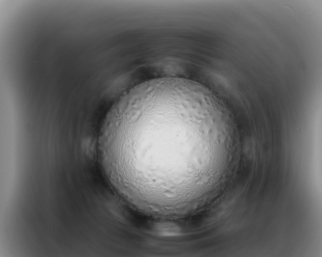 X0000088150177200705211203