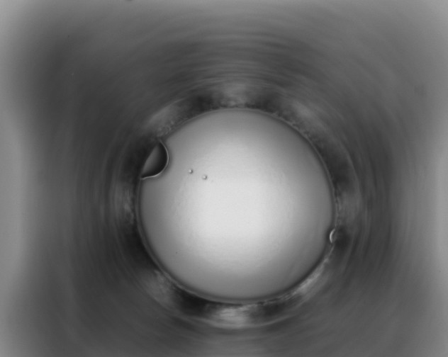 X0000088150178200705211203