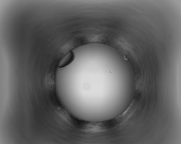 X0000088150179200705211203