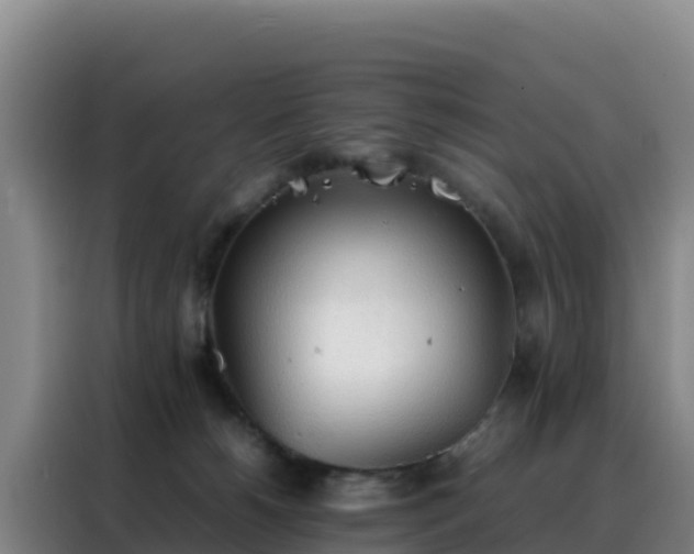 X0000088150180200705211203