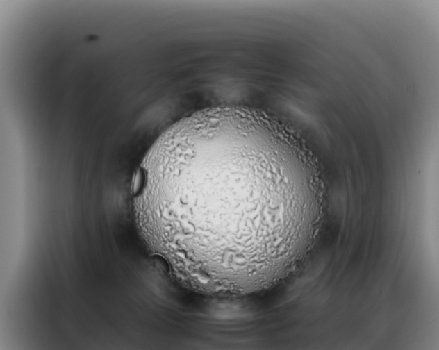 X0000088150181200705211203