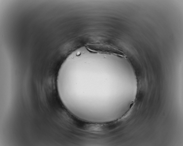 X0000088150182200705211203